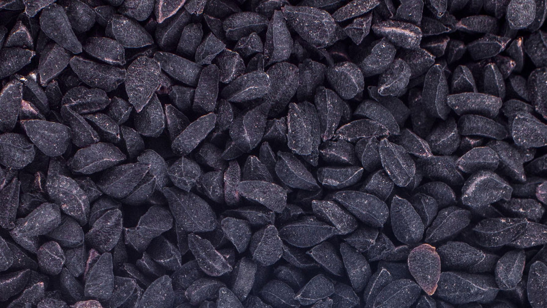 Black Seed Oil for Hair Growth: What Do The Studies Really Show?