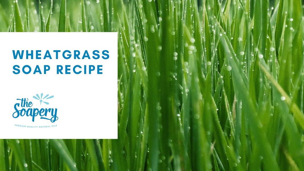 Wheatgrass soap recipe