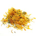 Calendula Flowers