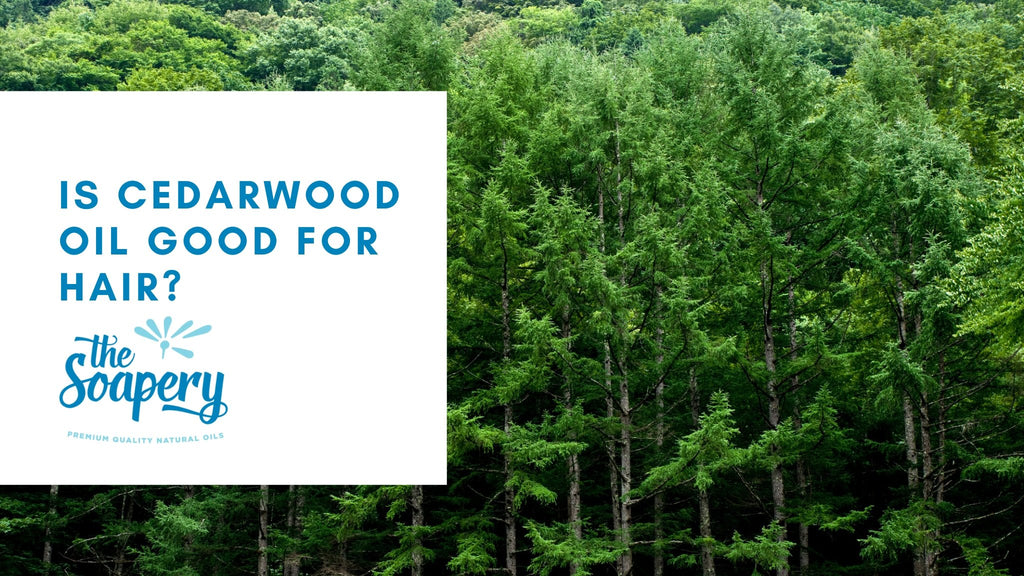 Cedarwood oil for hair loss, does it work?