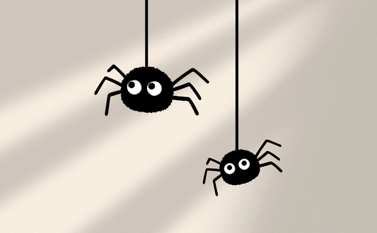 Peppermint Oil Spider Repellent