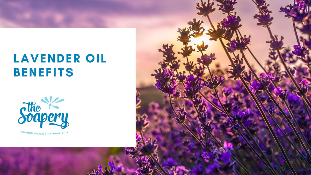 Discover the potential benefits of lavender oil, according to scientific research