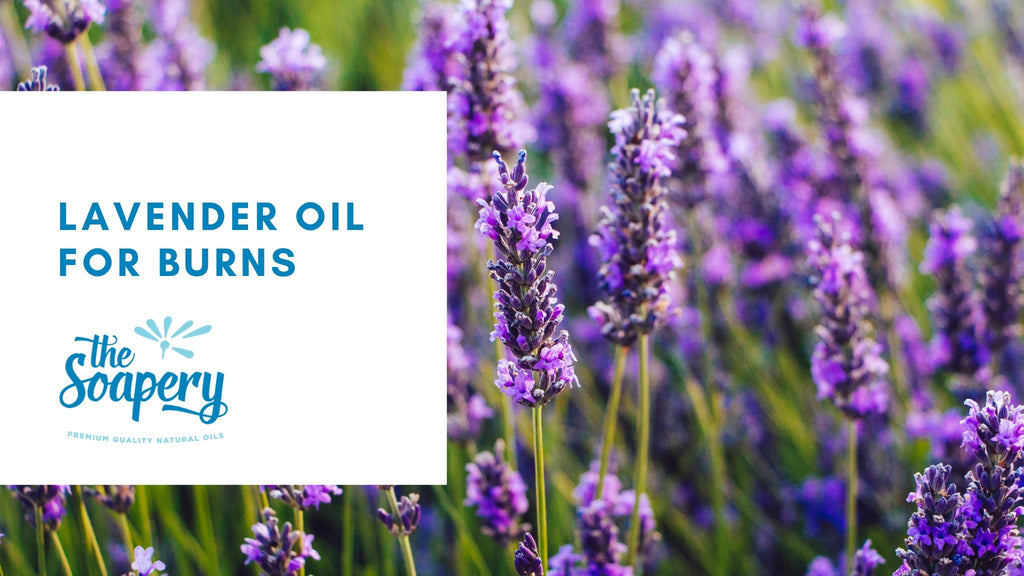 Does lavender essential oil help with first degree burns?
