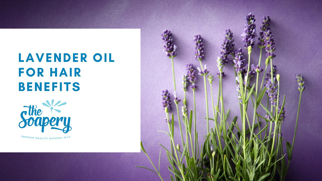 Lavender oil for hair benefits