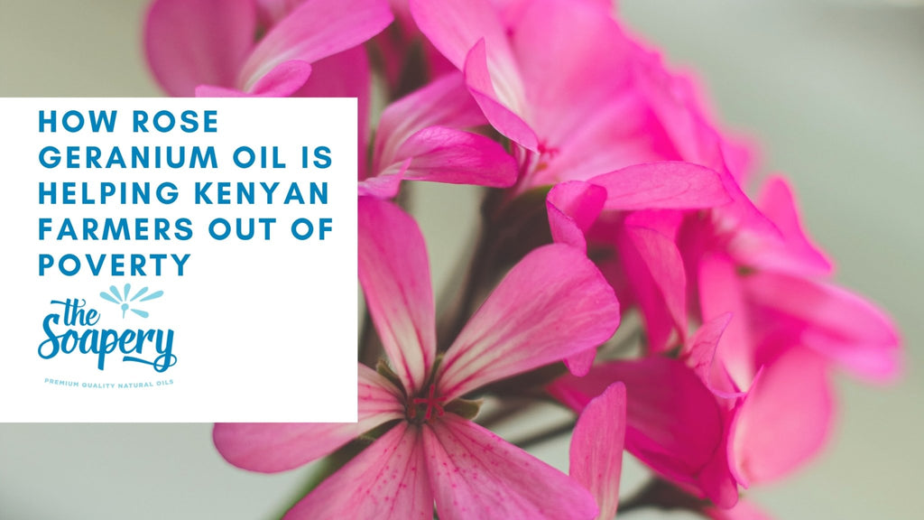 How Rose Geranium Oil Is Helping Kenyan Farmers Out of Poverty