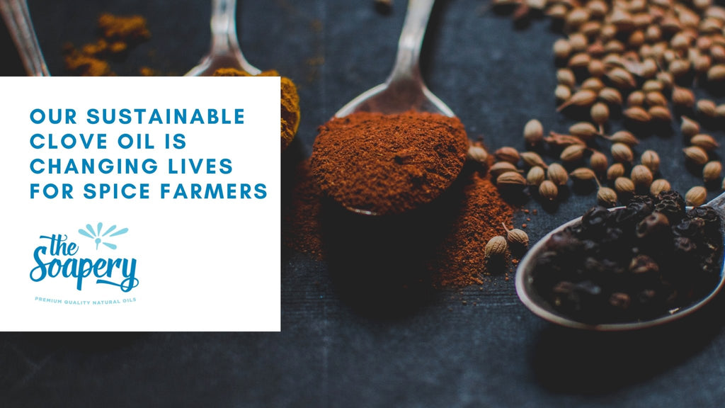 Our Sustainable Clove Oil Is Changing Lives For Spice Farmers