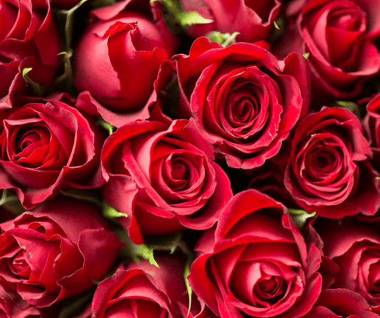 Valentine's Day Collection