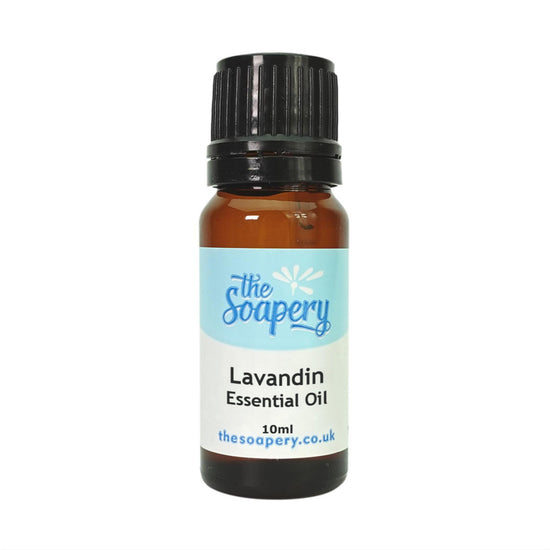 Lavandin Essential Oil 10ml